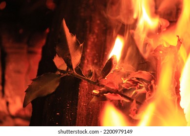 Camp Fire In Western Pennsylvania