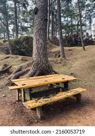 Camp John Hay, Baguio City, Philippines- May 15, 2022: Picnic Table in the park. The feeling of nostalgic ambiance while dining in here with the cold weather.