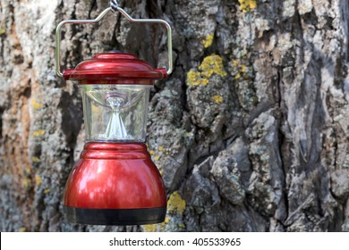 Camp Lantern On Cortex Tree Background