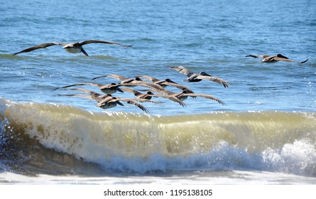 Imagenes Fotos De Stock Y Vectores Sobre Cartolina Base