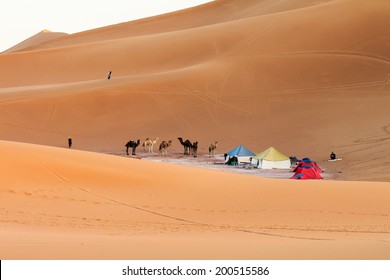 Camp in sahara desert, morocco