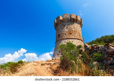 Campanella Tower On A Sunny Day. One Of The Genoese Towers In Corsica, A Series Of Coastal Forts Constructed By The Republic Of Genoa Between 1530 And 1620 To Stem The Attacks By Pirates