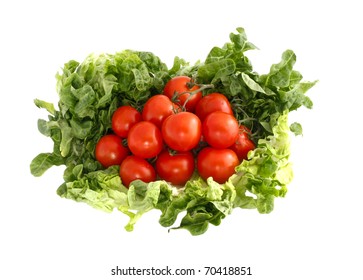 Campari Tomatoes On A Bed Of Lettuce