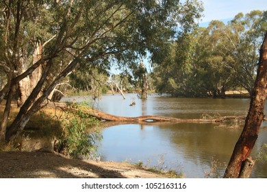 Campaspe River At Ayson's Reserve In Rochester Victoria 