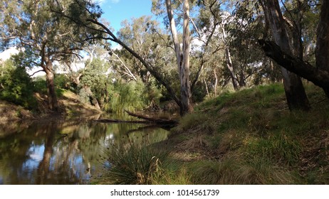 The Campaspe River Rochester