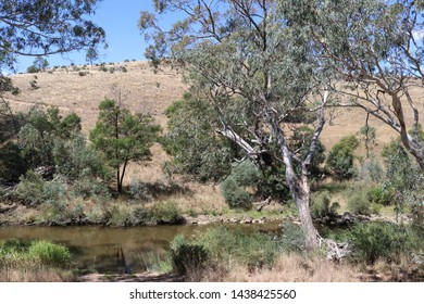 Campaspe River In Rural Australia On A Sunny Day