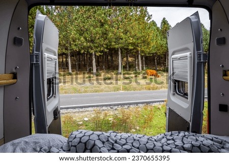 Camper van with opened back doors and bed with pine forest and rural meadow view, campsite Aparcamiento Morcuera II in Sierra de Guadarrama mountains, Spain.