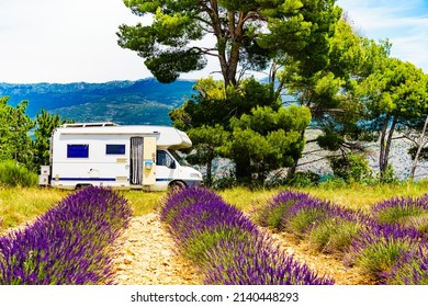 Camper Vehicle Camping On Summer Nature At Lavender Blooming Purple Field In France. Holidays, Vacation With Motorhome.