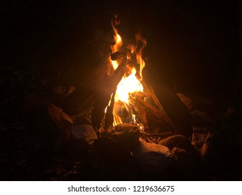 Campfire burning oak wood