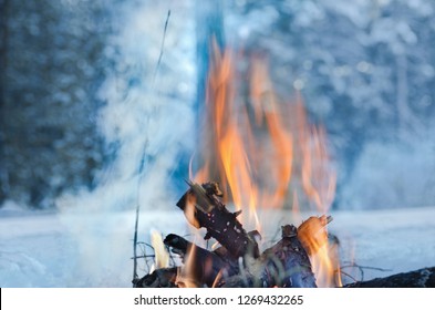 Campfire Burns In The Snow In The Woods, On A Background Of Snow Covered Trees. Campfire Burning In Cold Winter. Snow, Forest And Fire. Winter. Tourism. Flames On Snow. Winter Background. Nature.