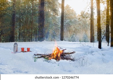 Campfire Burns In The Snow In The Woods, On A Background Of Snow Covered Trees. Campfire Burning In Cold Winter. Snow, Forest And Fire. Winter. Tourism. Flames On Snow. Winter Background. Nature.