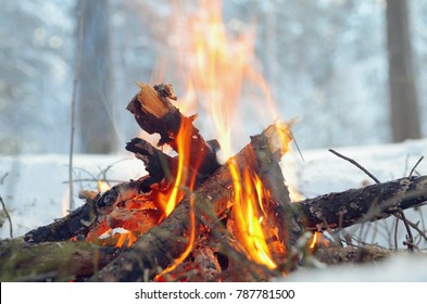 Campfire Burns In The Snow In The Woods, On A Background Of Snow Covered Trees. Campfire Burning In Cold Winter. Snow, Forest And Fire. Winter. Tourism. Flames On Snow. Winter Background. Nature.