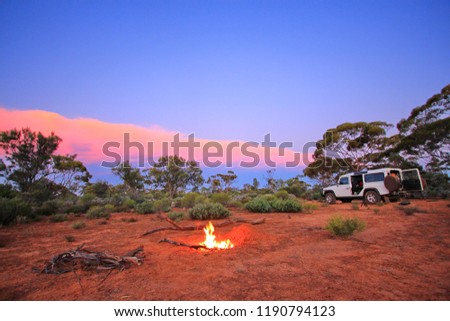 Campfire in the bush