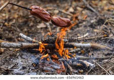 campfire closeup. hands on fire wood