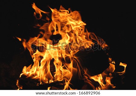 Campfire flames over burning logs