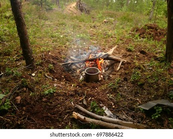 Campfire in the forest