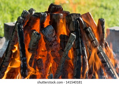 Campfire On The Day In Garden