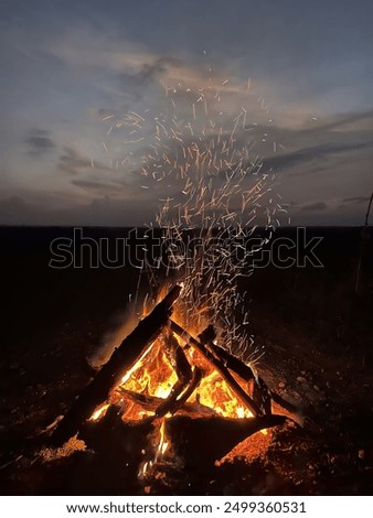 Similar – Foto Bild Lagerfeuer im Wald Freude