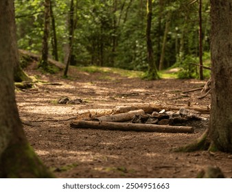 Campfire place in a forest clearing