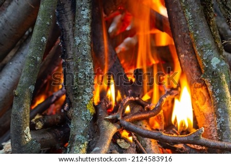 Campfire in the spring forest. Rest on the weekend. Danger of forest fires.