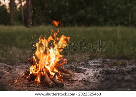 Campfire in the woodland. Bonfire in the evening after the day in the forest.