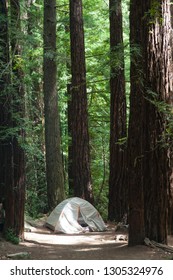 Campground At Big Basin Redwoods State Park