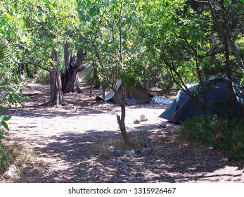 campground in the forest.