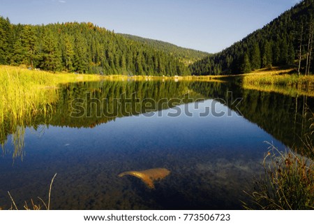 Similar – Image, Stock Photo Dam in the Black Forest