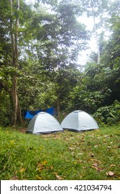 Camping in a Forest