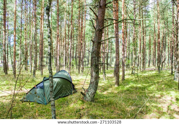 Camping Forest Neringa Lithuania Stock Photo Edit Now 271103528