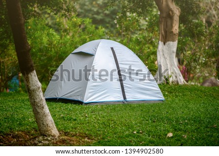 Camping in green and lush forest and grassland.