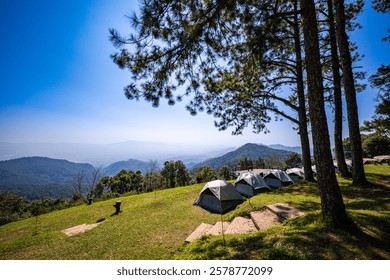 A camping ground under pine trees lined up amidst a green forest under a blue sky inviting you to sit and relax there. The cool, refreshing air is filled with the scent of nature, the green forest.