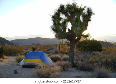 Camping In The Joshua Tree National Park California 