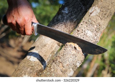 Camping knife wood cutting. 