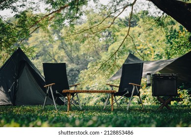 Camping In Nature Tent And Camping Accessory Under The Big Tree. Beautiful Nature Background For Travel And Tourism.