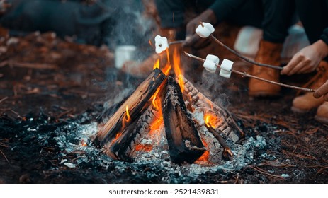 Camping and picnic concept. Close up of people frying marshmallow on fire in forest - Powered by Shutterstock