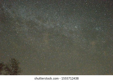 Camping And Star Gazing In Big Cypress National Park, From Burns Lake Campground