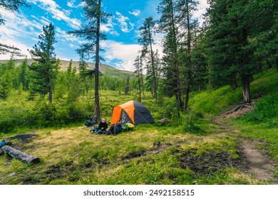 camping in the summer forest - Powered by Shutterstock