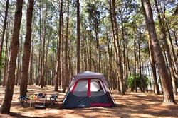 Camping Tent With Desk And Chairs In Pine Forest