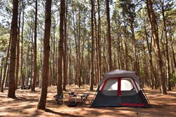 Camping Tent With Desk And Chairs In Pine Forest