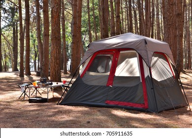 Camping tent with desk and chairs in pine forest