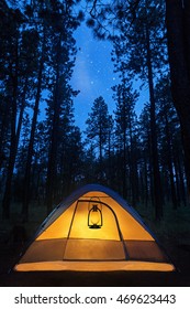 Camping Tent In The Forest Illuminated By A Lantern At Night Under The Stars 