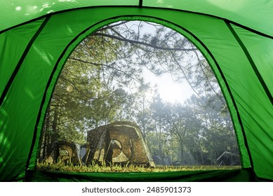 camping tent in the forest, looking from inside the tent to view the pine forest in the morning.