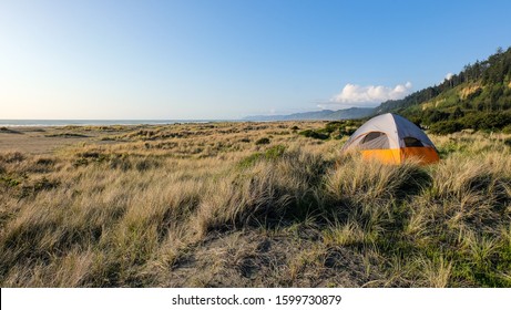 A Camping Tent At Gold Bluffs Campgrounds In Redwoods National Park