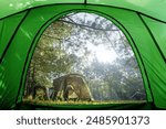Camping tent, looking from inside the tent to view the tent in the pine forest in the morning.