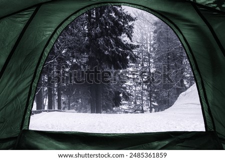 camping tent, looking from inside the tent to view The mountain pine forest is heavily snow-covered.