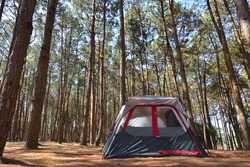 The Camping Tent In The Pine Forest.