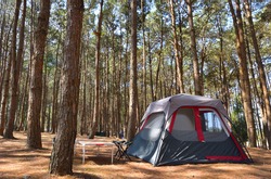 The Camping Tent In The Pine Forest.