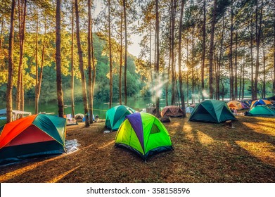 Camping And Tent Under The Pine Forest  In Sunset At North Of Thailand