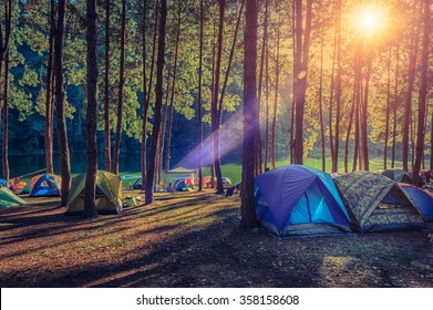 Camping And Tent Under The Pine Forest  In Sunset At North Of Thailand